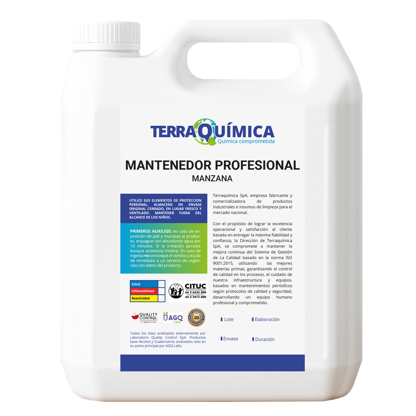 Mantenedor Profesional Piso